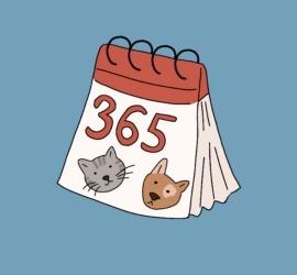 годовая подписка на консультации